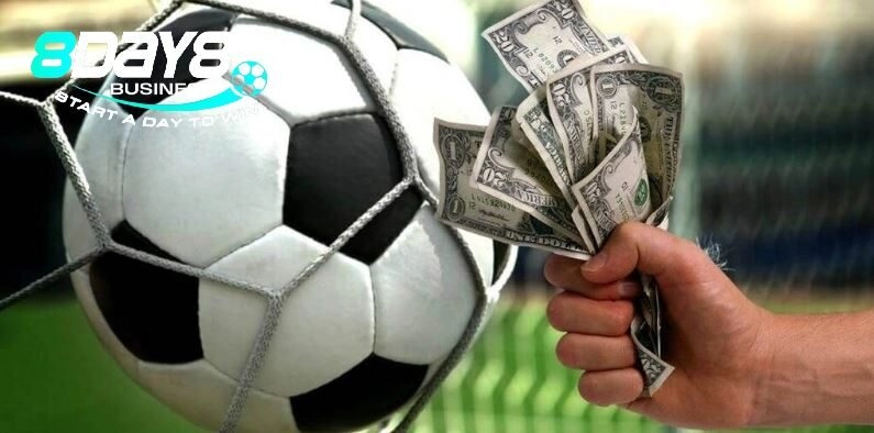 Tầm nhìn của Tác Giả 8Day