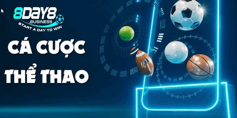 Thể thao 8day là thương hiệu chất lượng  uy tín